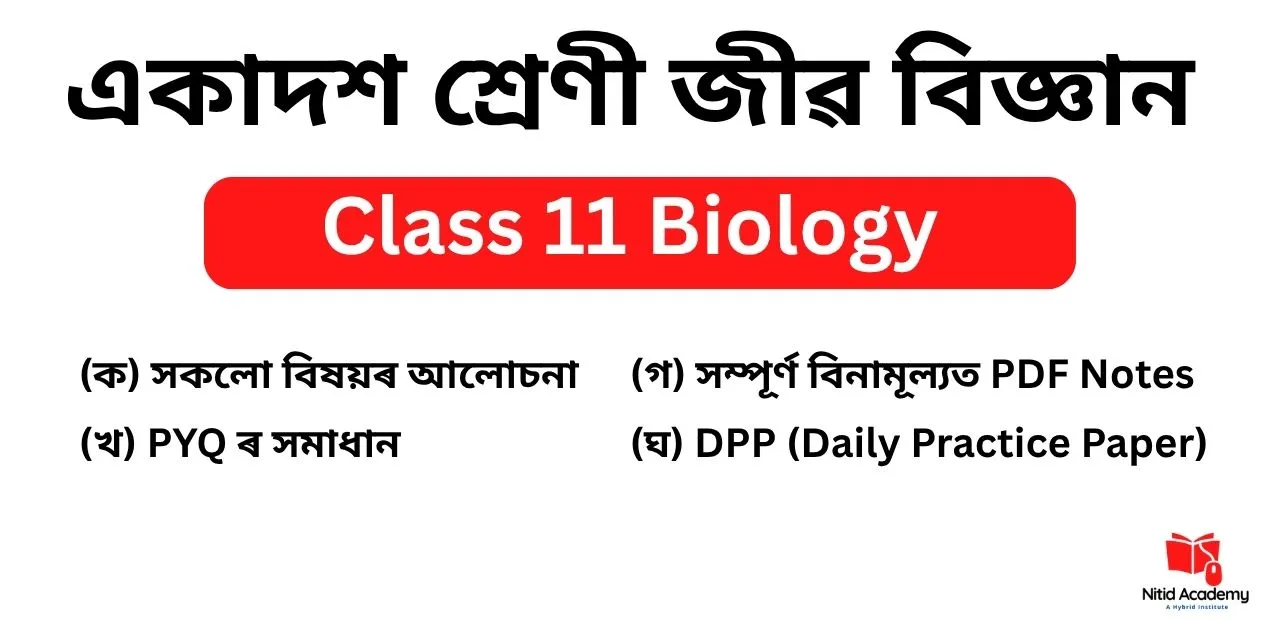 Read more about the article Class 11 Biology Question Answer in Assamese